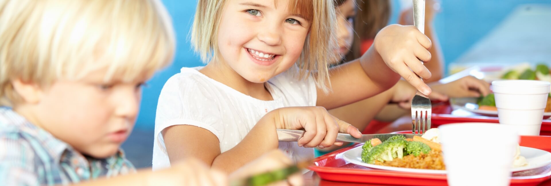 Ordem dos Nutricionistas / Ementas escolares