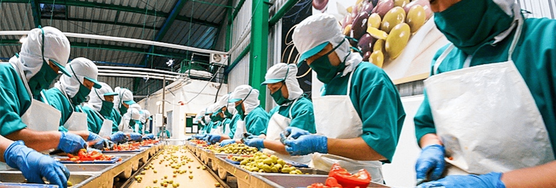 Reformulação de produtos alimentares