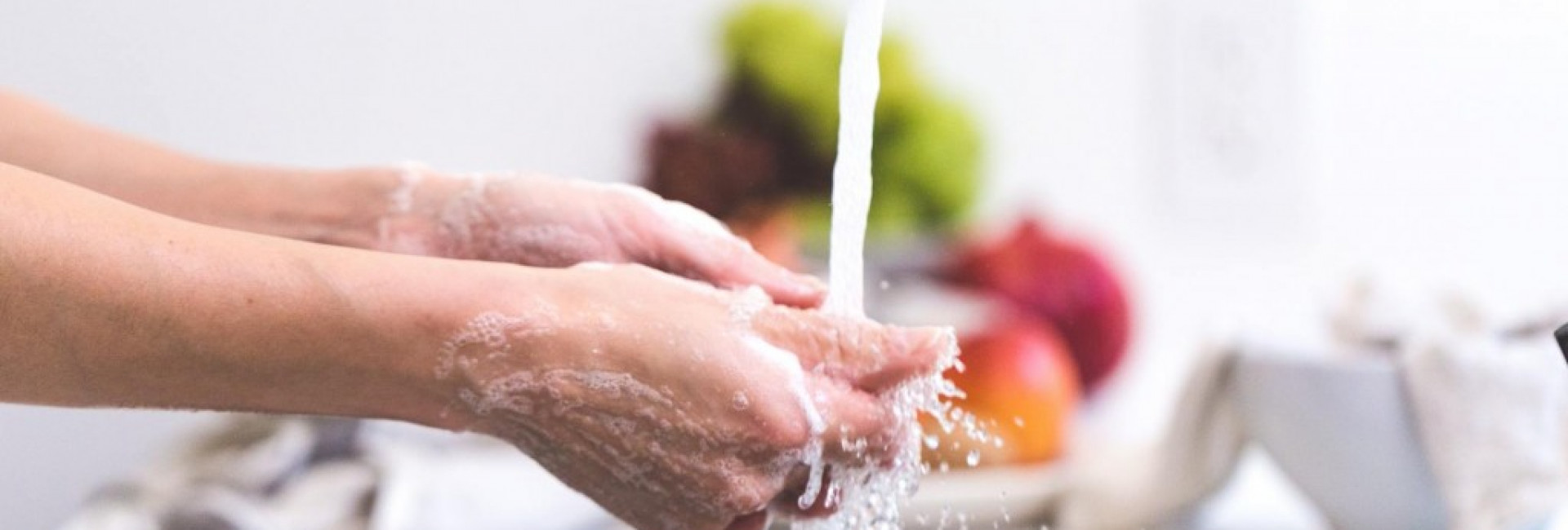 Segurança alimentar na gravidez