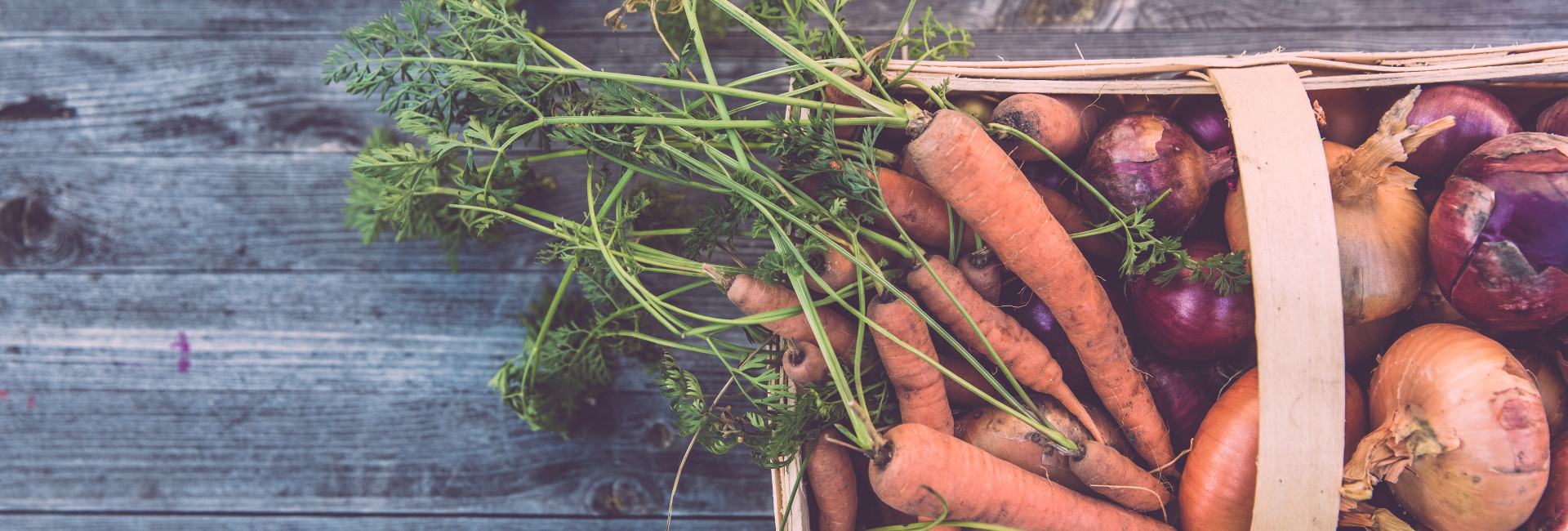 Sustentabilidade Alimentar – porque é necessário um sistema alimentar sustentável?